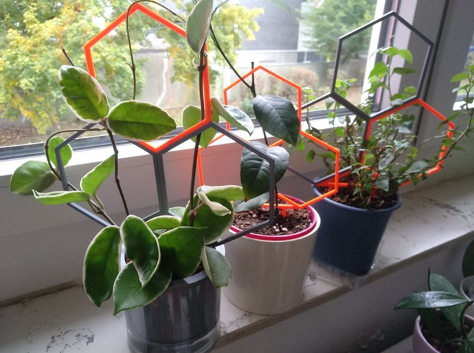 Commencez à utiliser votre imprimante 3D dans le jardinage dès aujourd'hui : voici comment